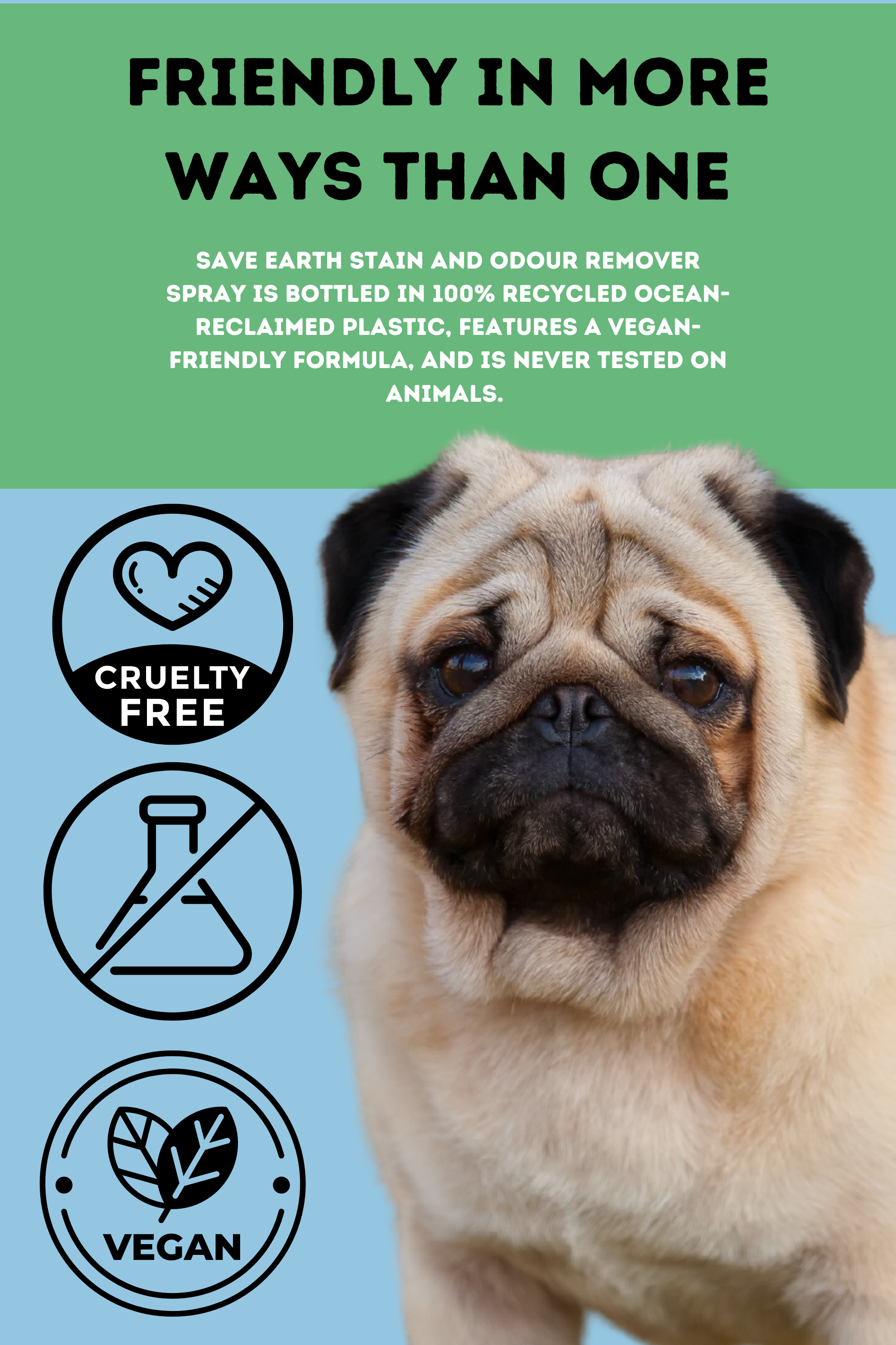 SAVE EARTH Eco-Friendly Stain and Odour Remover