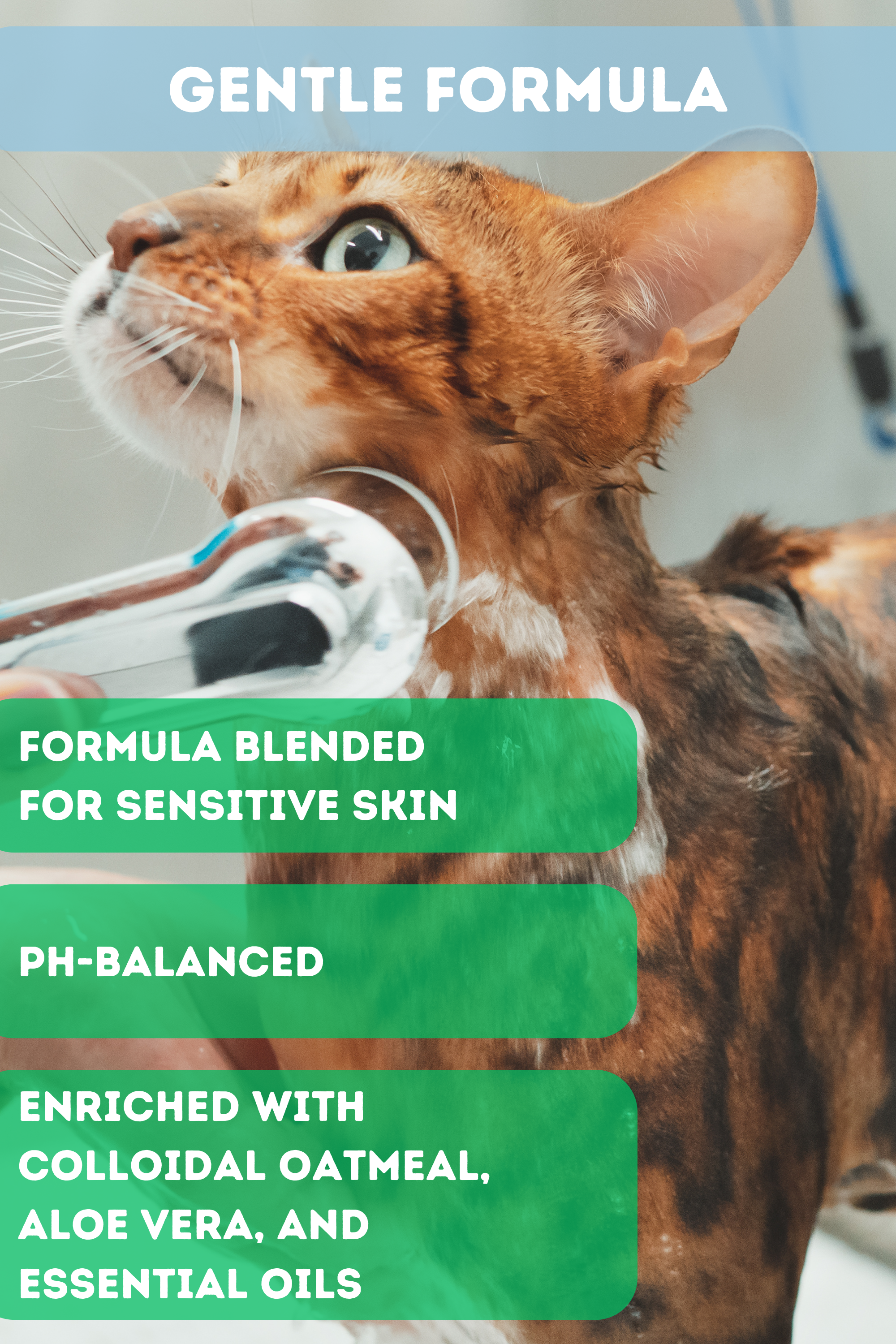 SAVE EARTH Eco-Friendly Pet Shampoo