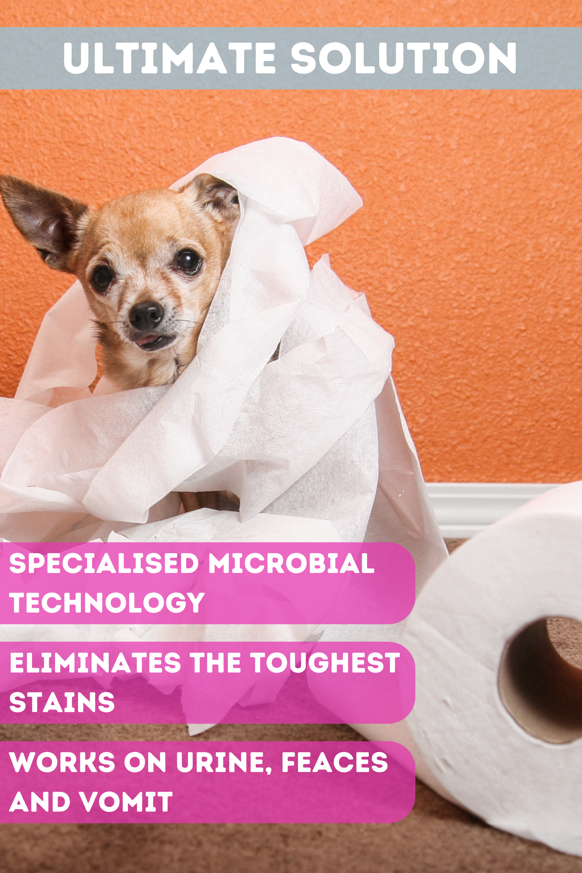 SAVE EARTH Eco-Friendly Stain and Odour Remover
